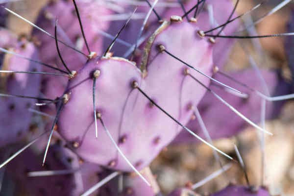 Confrontational Love